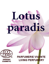 lotus